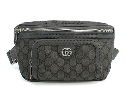 グッチコピー 733868