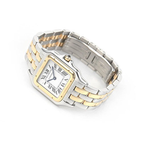 Cartier W2PN0019