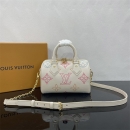 Louis Vuitton ハンドバッグ スピーディ20 M46667